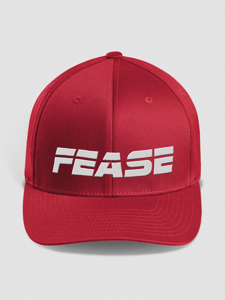 Fease Flexfit product image (1)