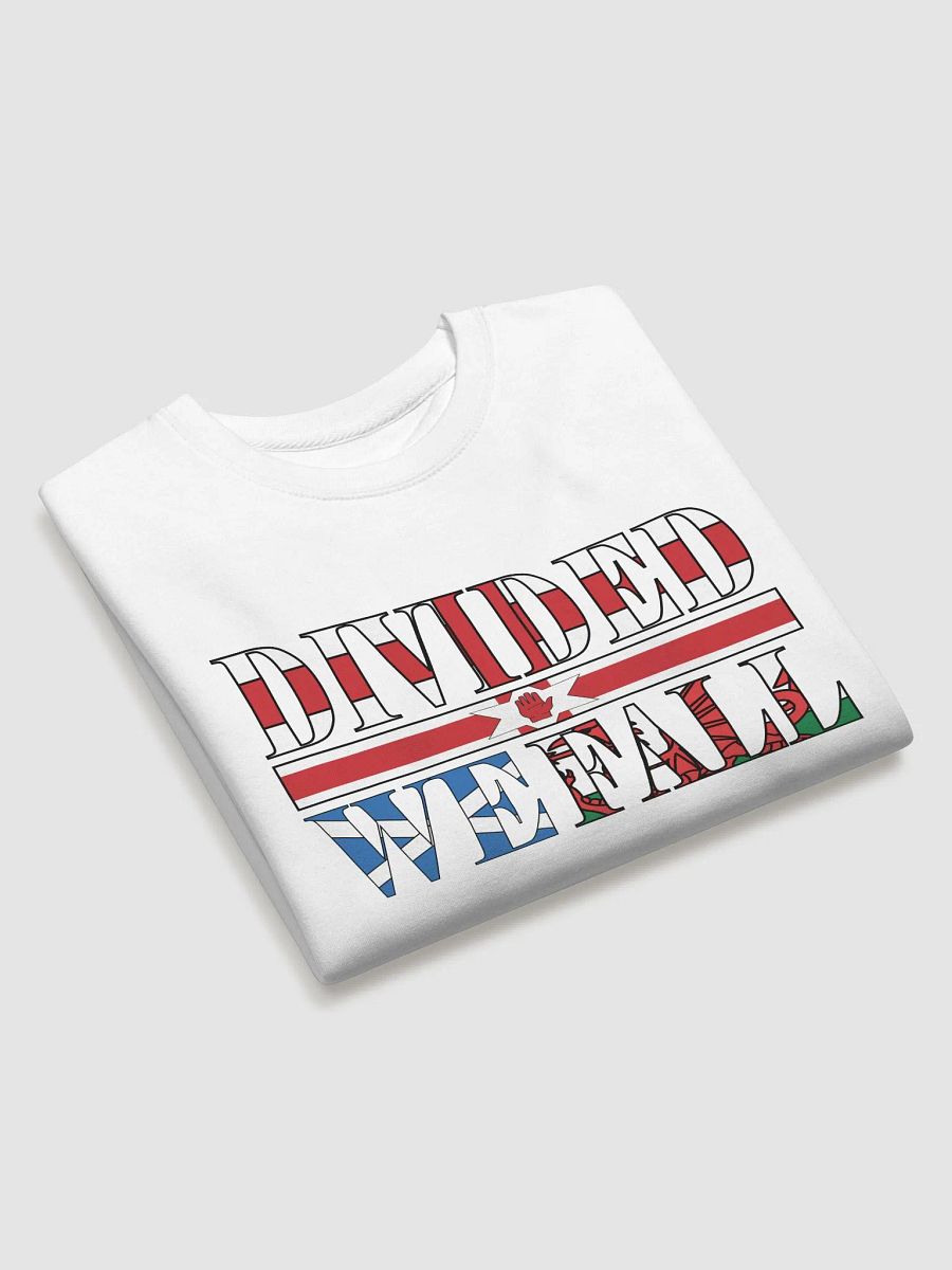 Divided We Fall - UK - Cotton Heritage Premium Sweatshirt product image (4)