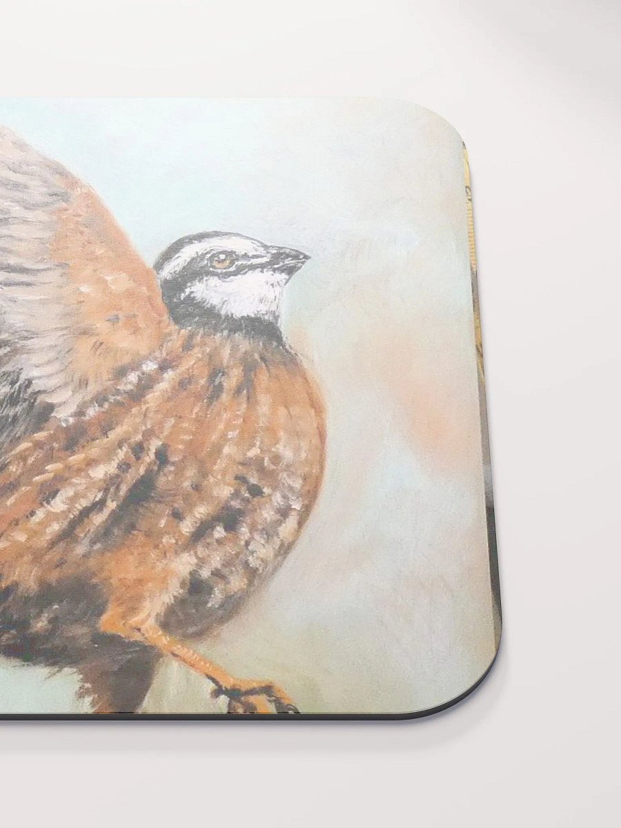 Bobwhite quail product image (5)