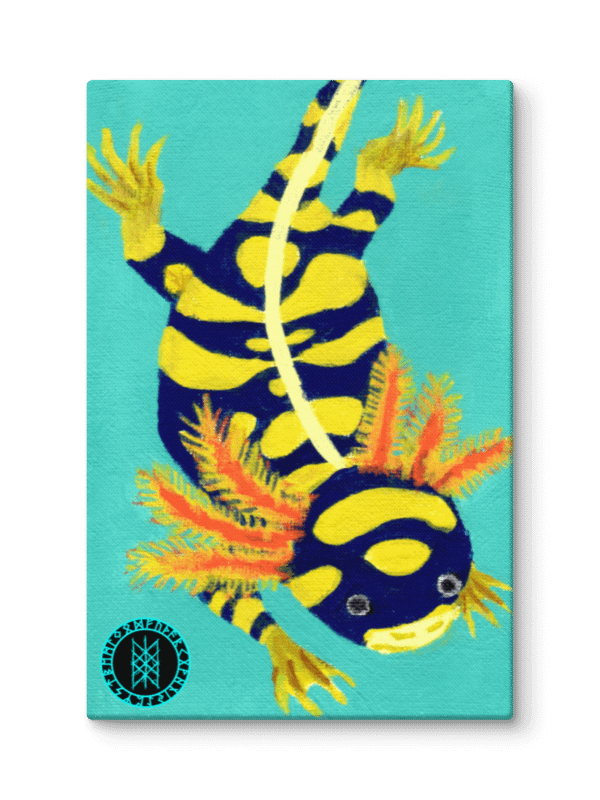 Gone Fission July Banded Axolotl product image (1)