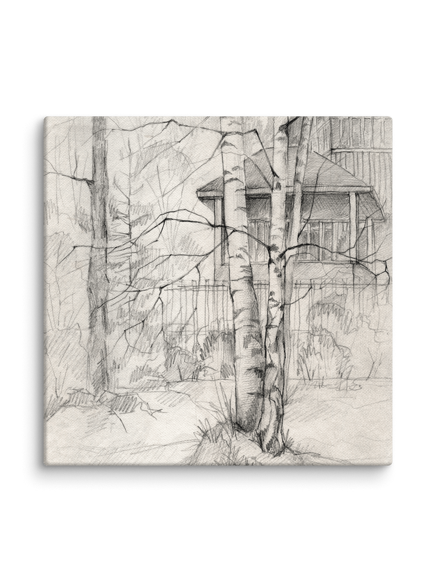 Blank Canvas: Unleash Your Artistic Vision - Dacha and Trees product image (2)