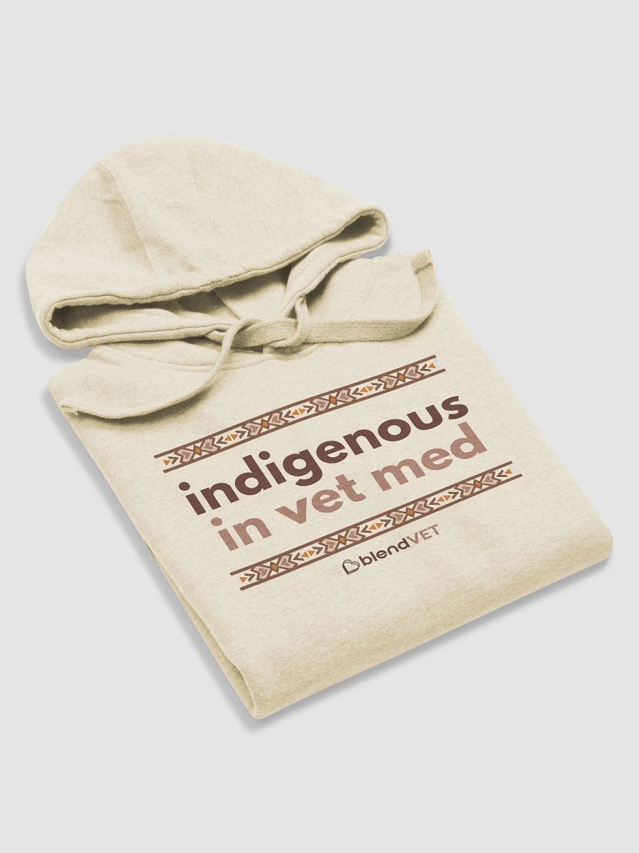 Indigenous in Vet Med Hoodie product image (5)