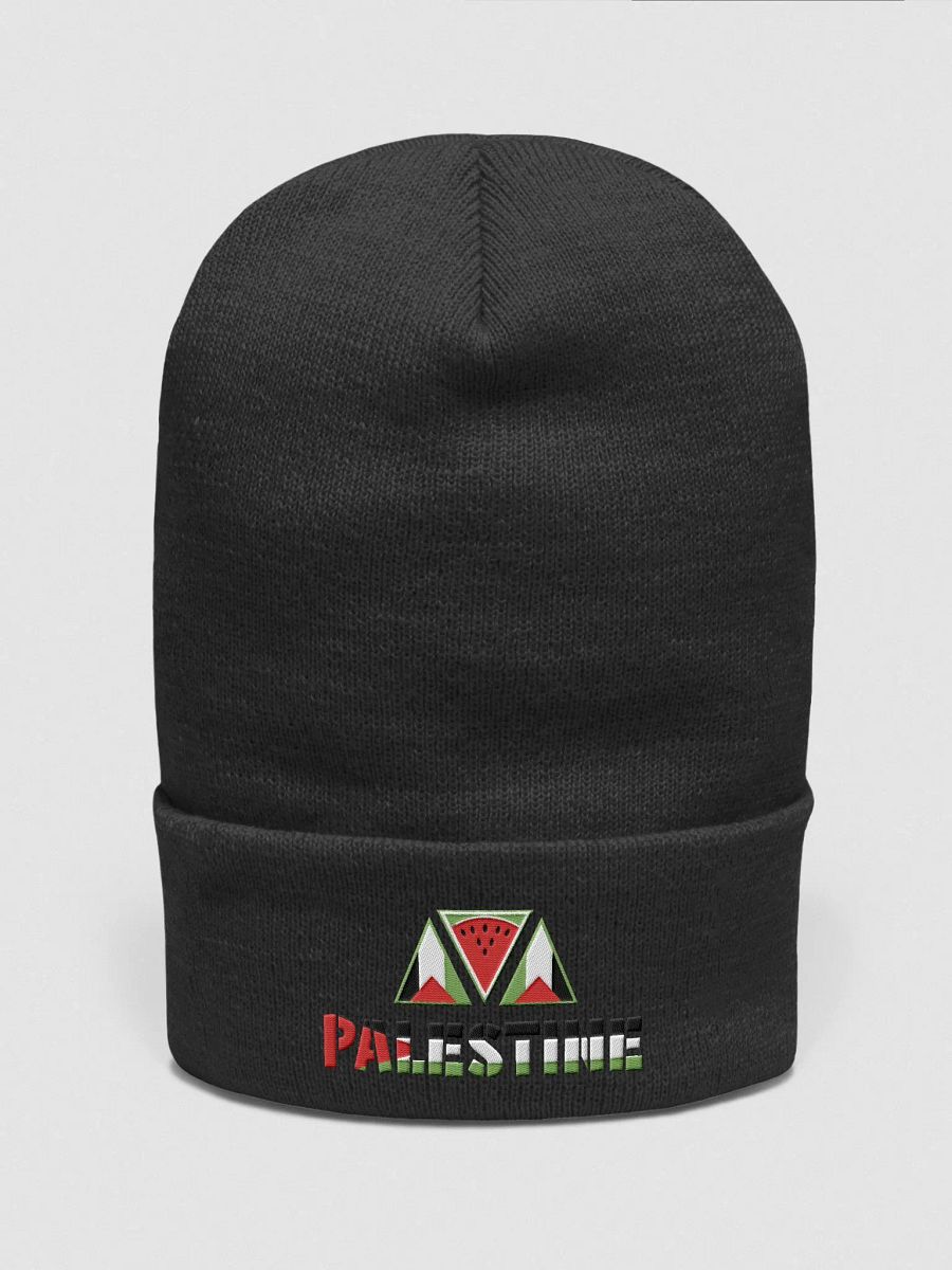 beanie product image (1)