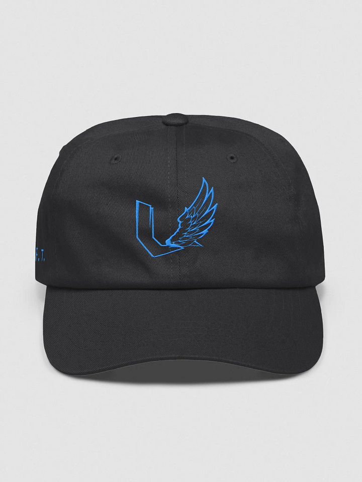 UWING W. F. T. Dad Hat B/B product image (1)