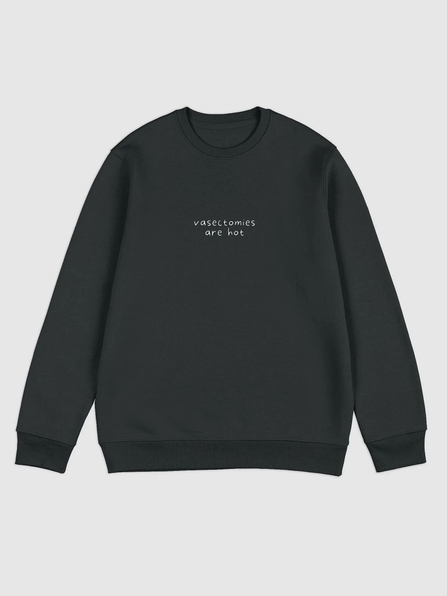 Vasectomies Are Hot - Eco Crewneck product image (3)