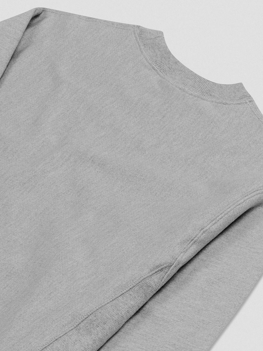 Vintage University Crewneck Sweatshirt (Champion) product image (4)