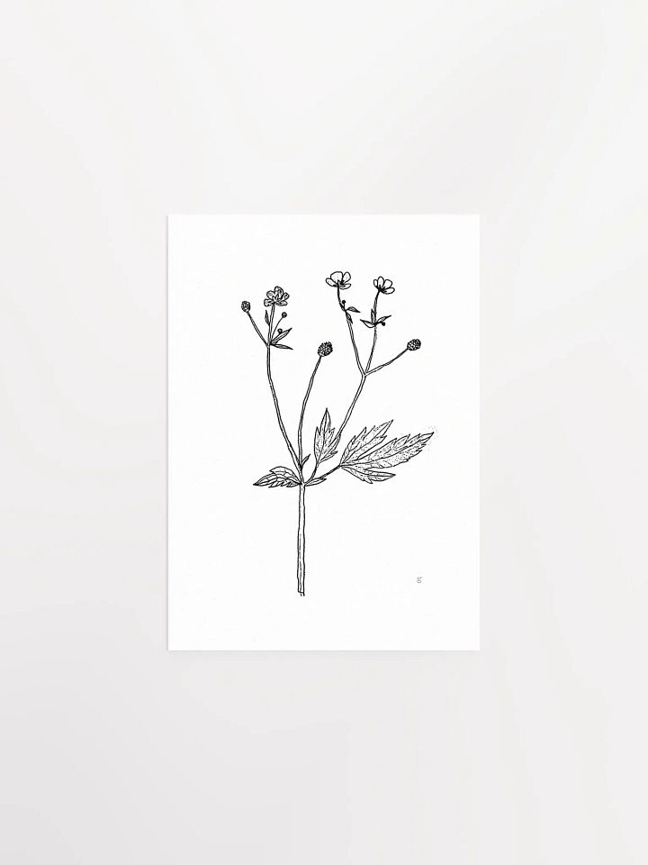 Botanical Beauty Poster - Wild Flowers product image (1)