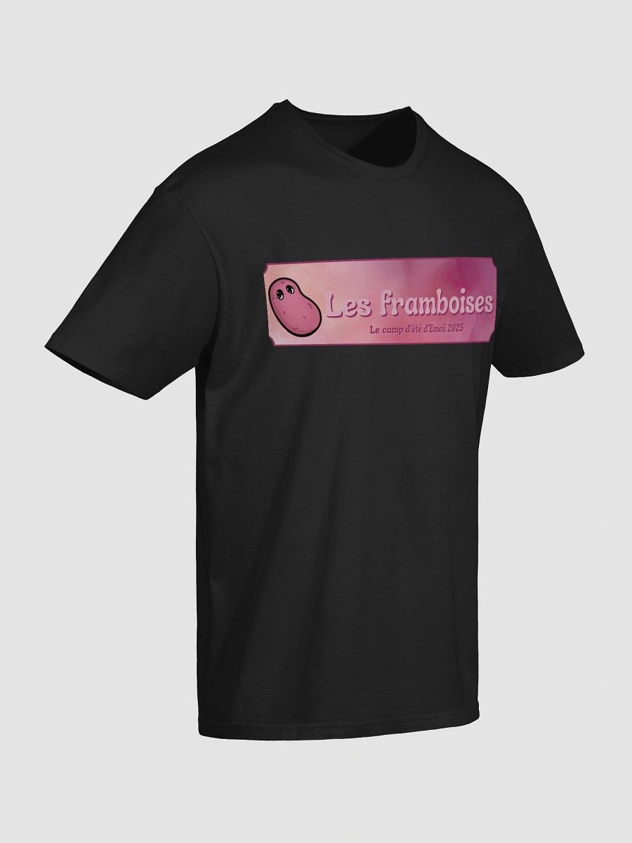 ''Les framboises Camp 2025'' T-shirt softstyle unisexe product image (78)