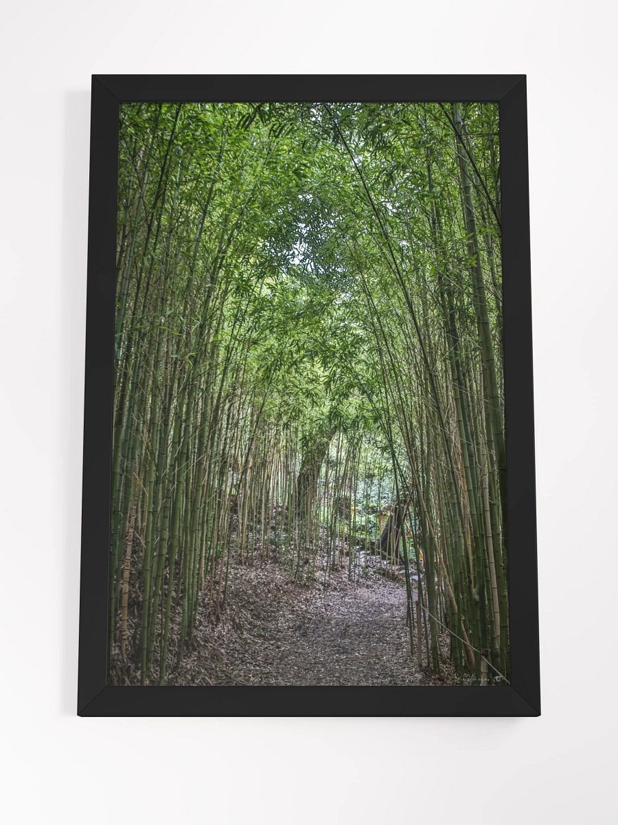 🌿 Print Fine Art – The Path of Stillness product image (8)