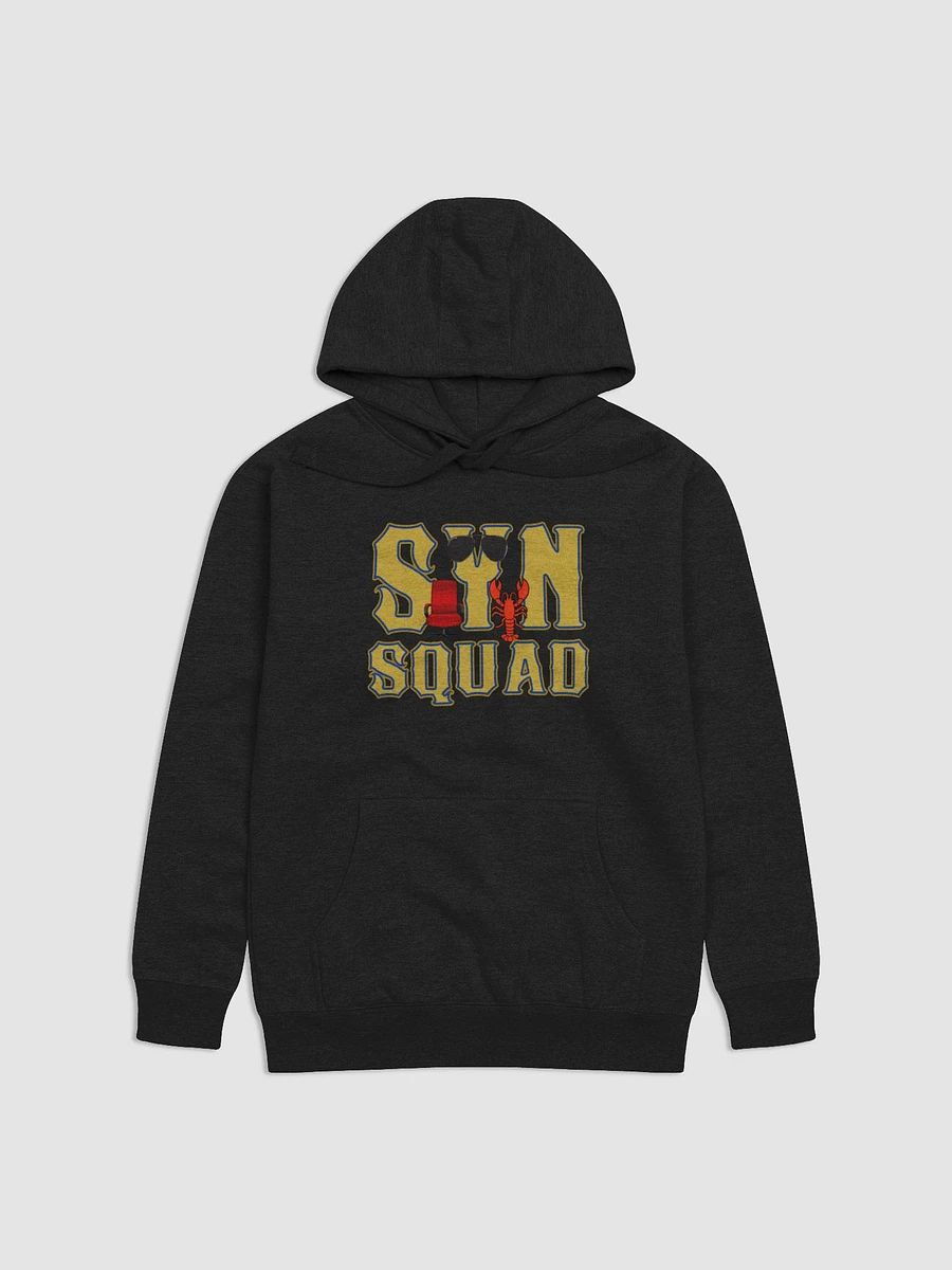 Cuddly Syn Squad USAF Hoodie product image (1)