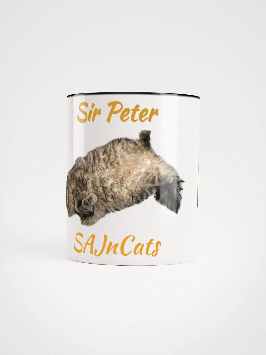 Coffee with Sir Peter product image (63)