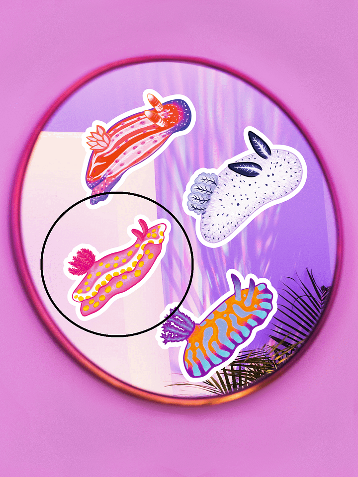 Sea Slugs: Set 1, Ceratosoma Amoenum - Magnet product image (2)
