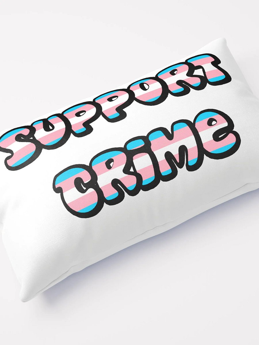 Trans Crime Decorative Pillow product image (4)