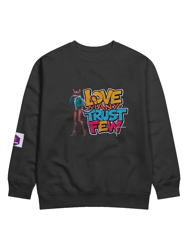 RayElle Distribution Illustrated Sweatshirt product image (3)