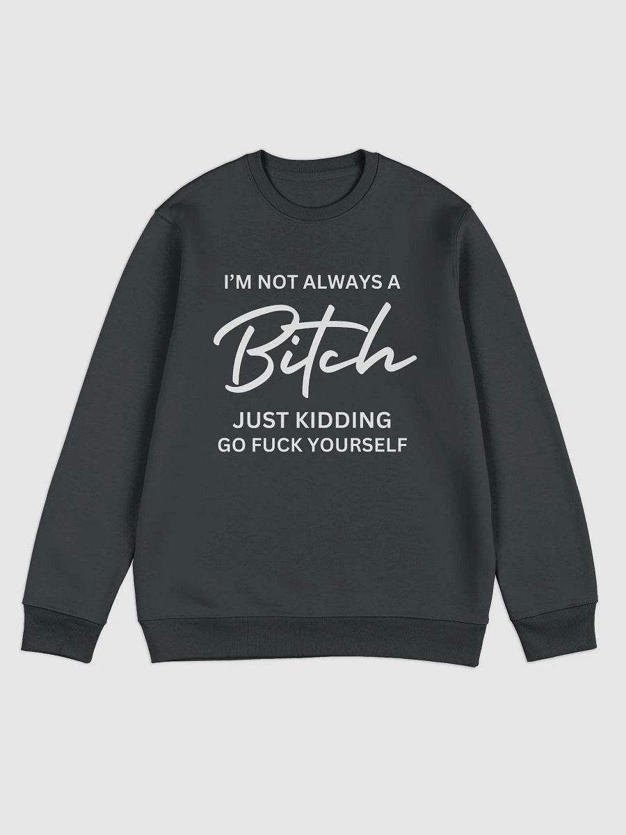 Just Kidding sweater product image (2)