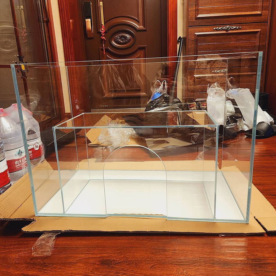 Front Entrance Cat Aquarium product image (3)