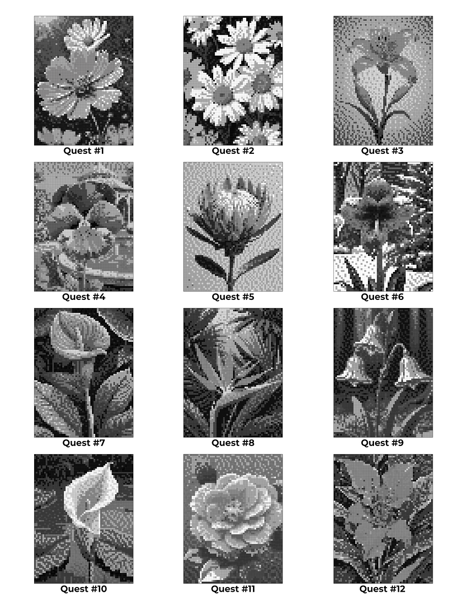 Pixel-Perfect Flowers Coloring Book: Pixel Art Color By Number with 36 Illustrations product image (5)