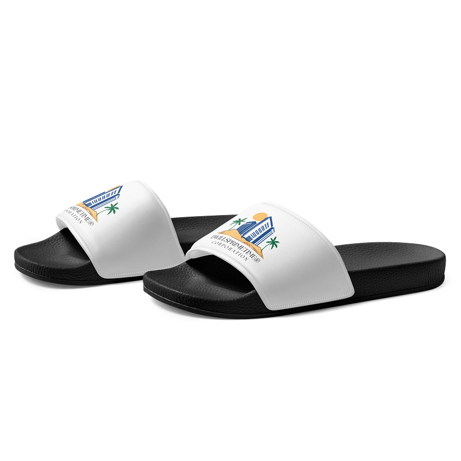 Dwillsprimetime Corporation Women's Slides product image (2)