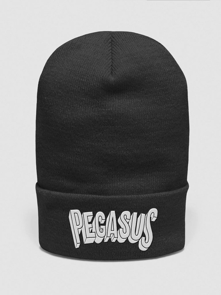 Pegasus Embroidered Beanie product image (4)
