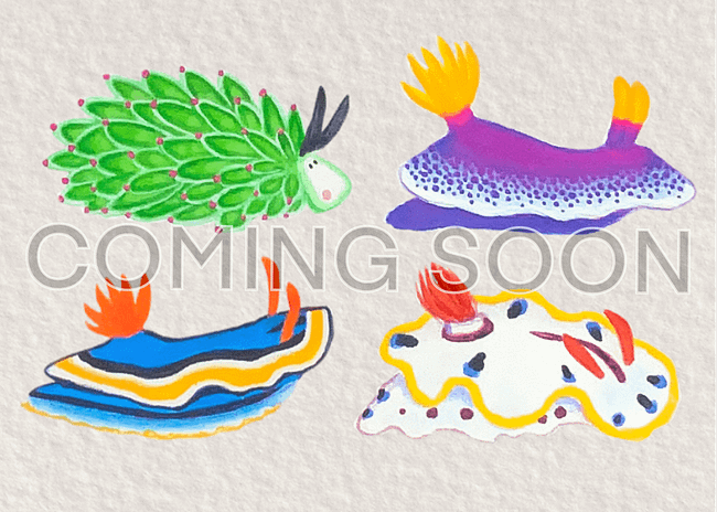 Sea Slugs: Set 2