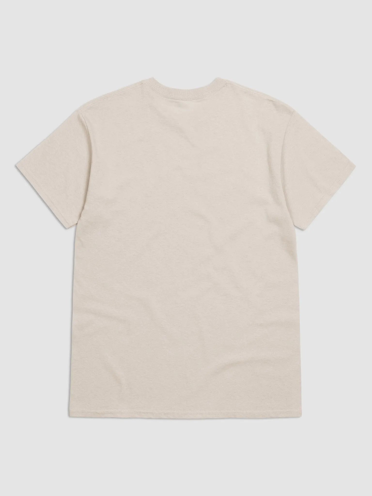 Perfect Moment Vibes T-Shirt product image (27)