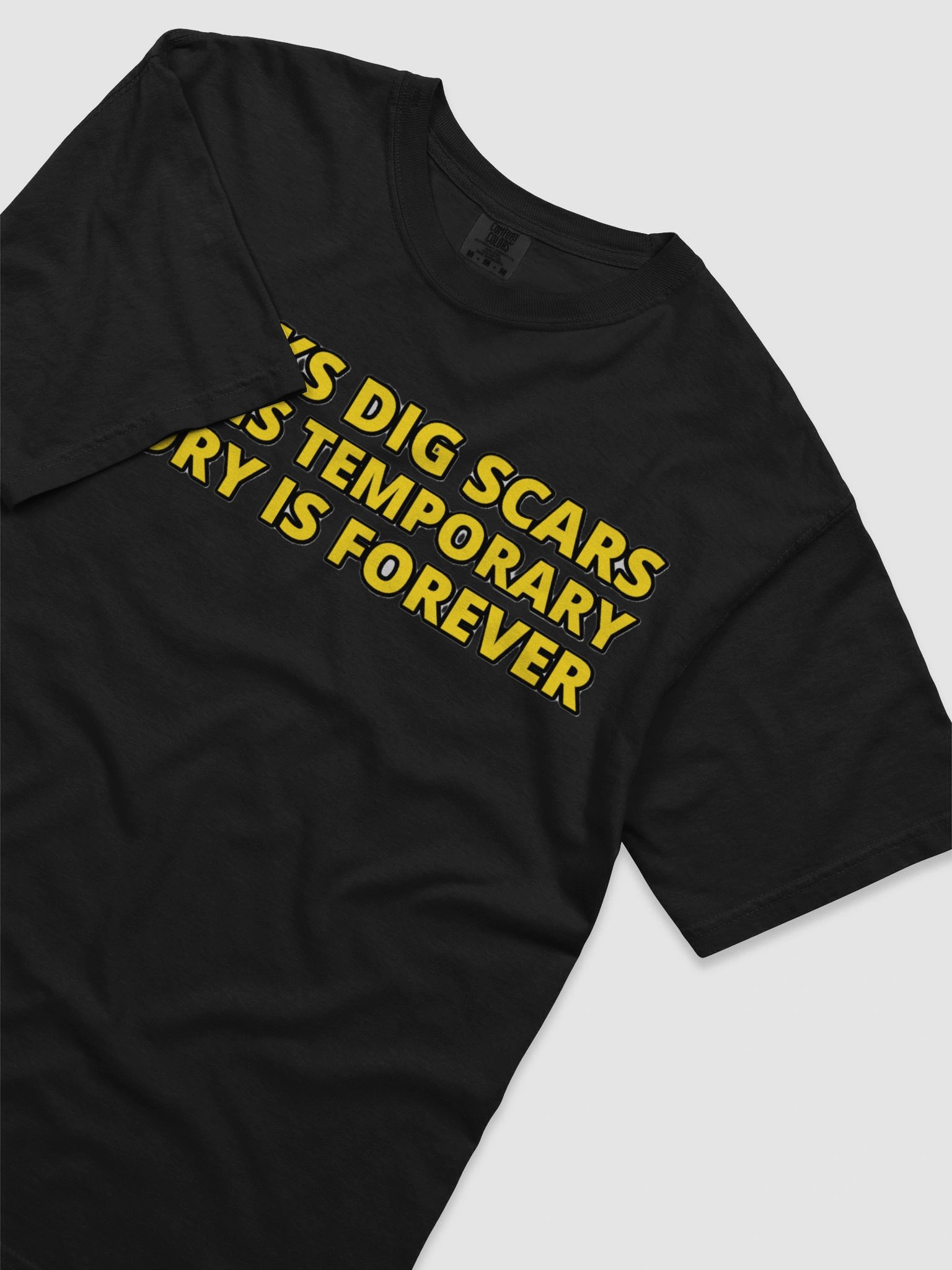 CHICKS DIG SCARS, PAIN IS TEMPORARY, GLORY IS FOREVER product image (57)