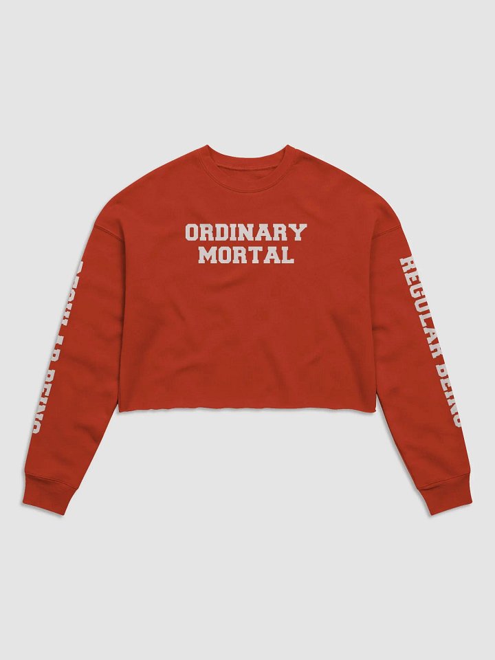 (2 sided) Ordinary Human crop sweatshirt product image (2)