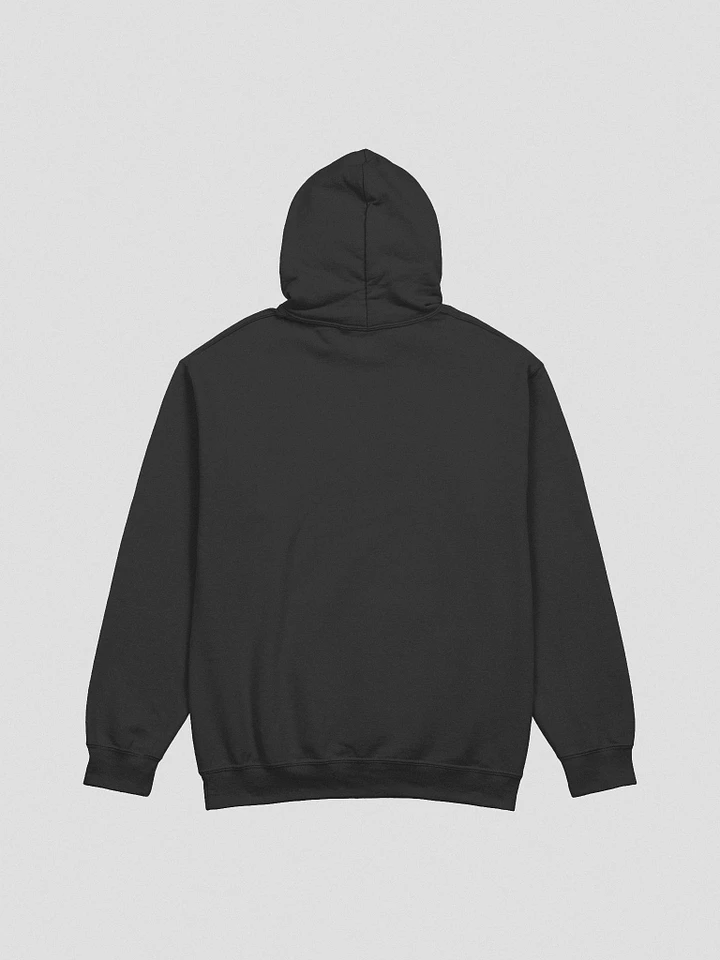 Better at Guitars Hoodie product image (8)