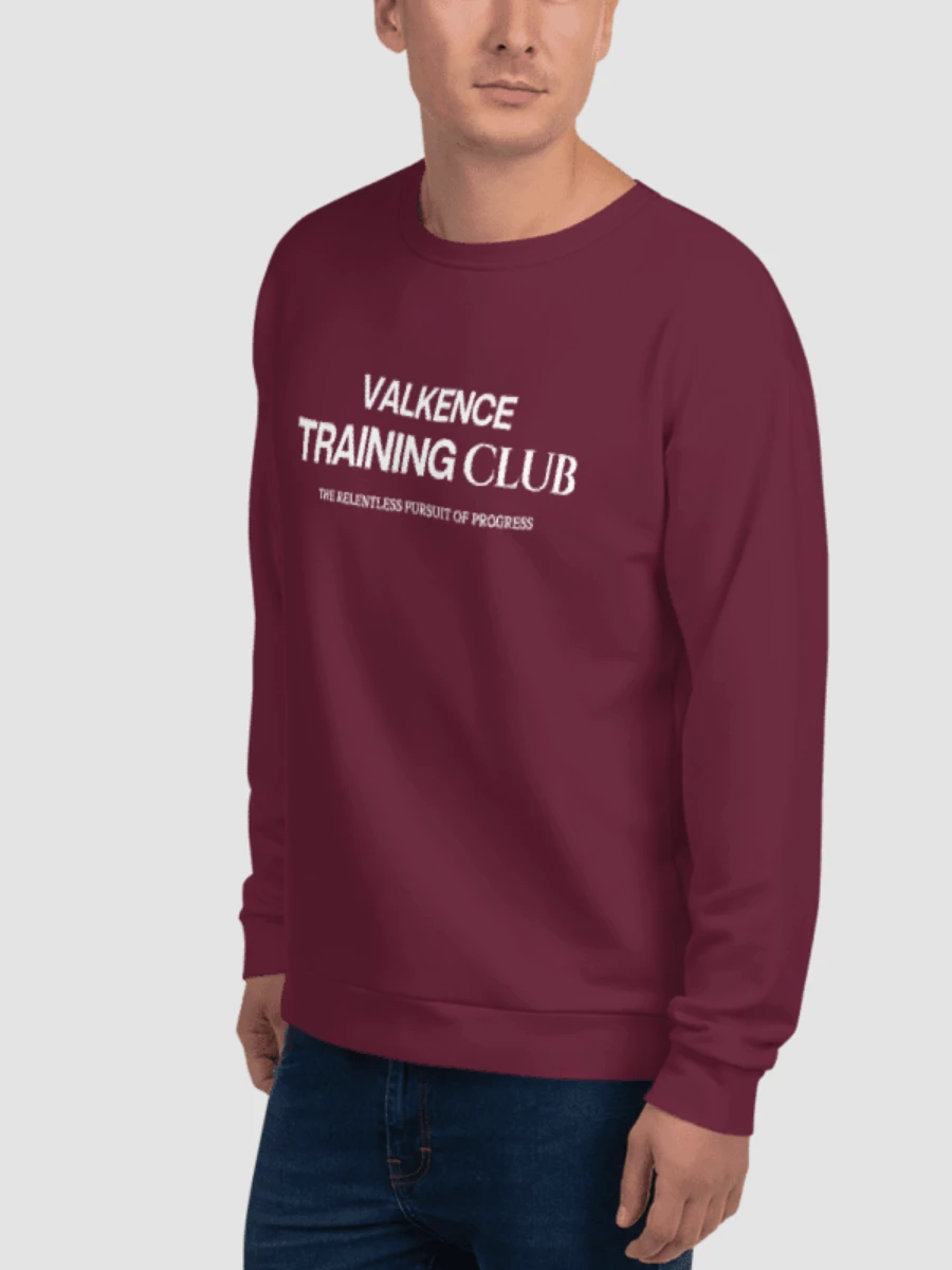 Training Club Sweatshirt - Plum product image (2)