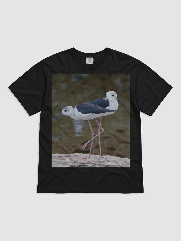 Graceful Avian Duo T-Shirt product image (1)