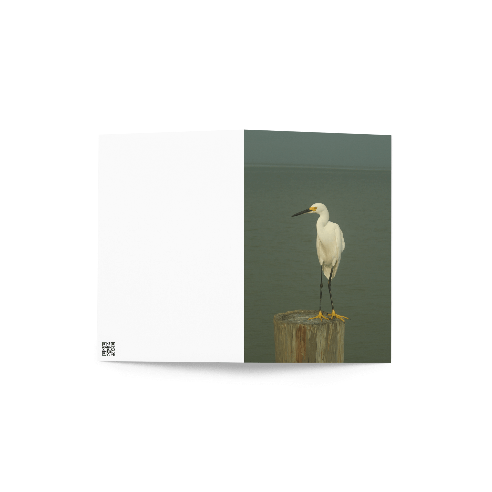 Egret Elegance Greeting Card product image (4)