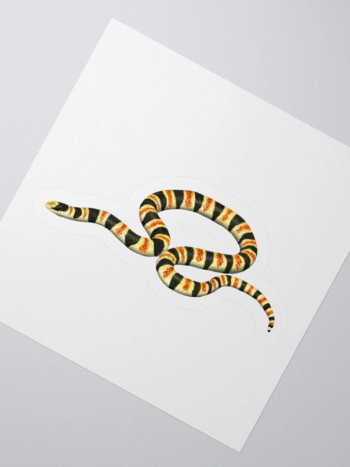 Die-Cut Sticker – Resplendent Shovelnosed Snake product image (2)