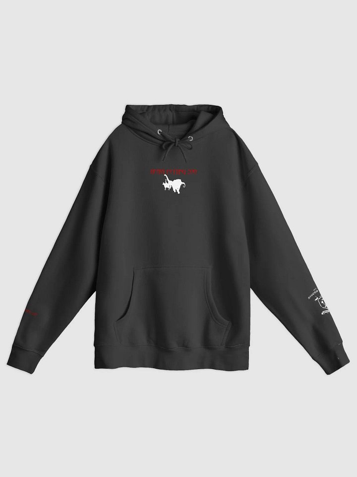 Heavy Petting Zoo Band Hoodie product image (3)