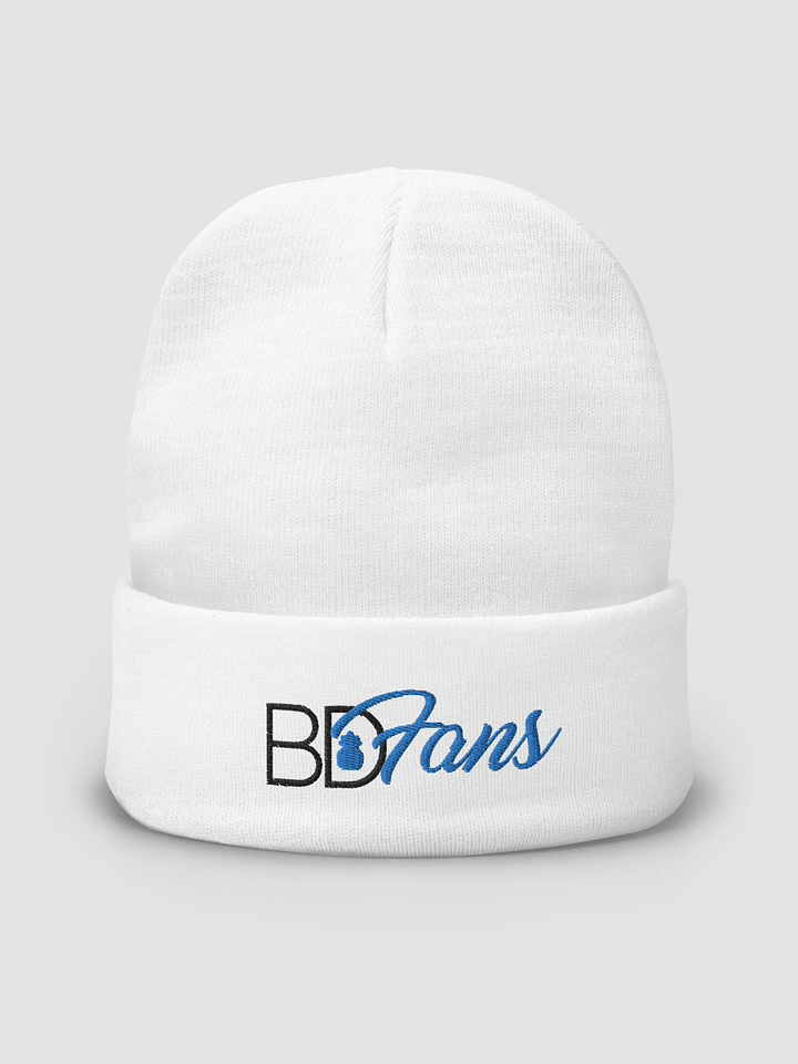 [BDBRENT] Otto Knit Beanie Otto Cap 82-480 product image (2)