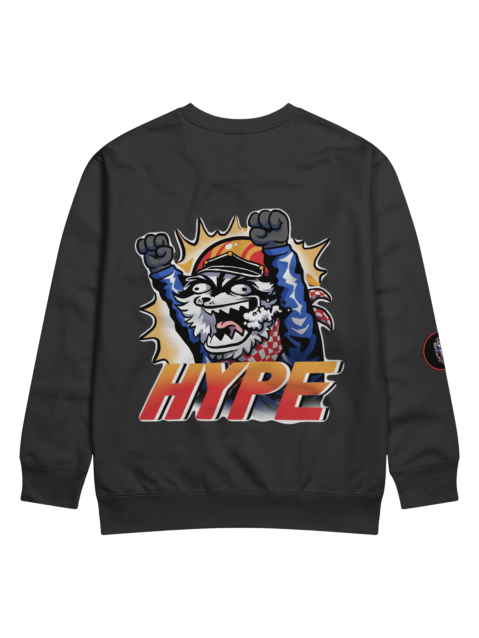 HYPE Longsleeve product image (4)