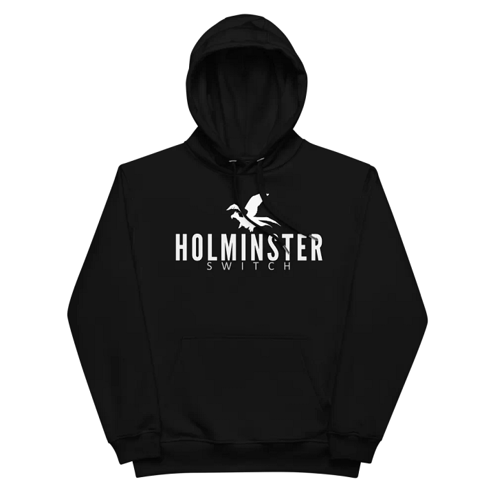 Holmister switch hoodie - premium product image (2)