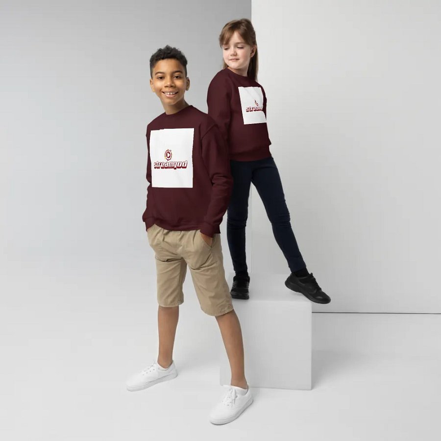 maroon youth STREAMGOD sweater product image (5)