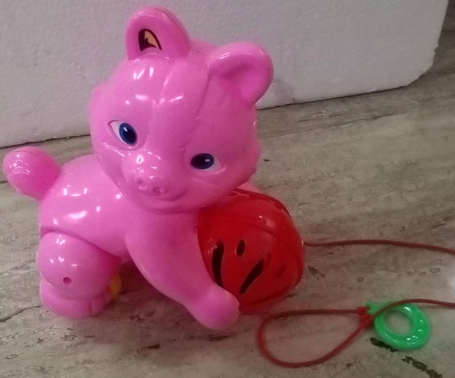 PULL ALONG TOY product image (1)