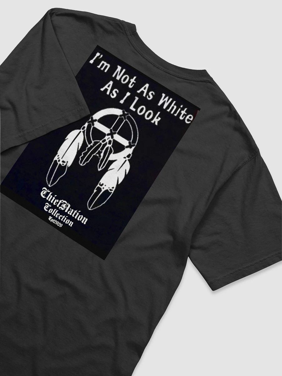 Native Identity Dreamcatcher T-Shirt product image (19)