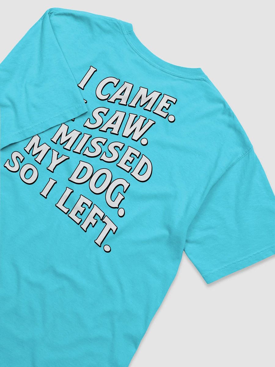 I Came, I Saw, I Missed My Dog, So I Left | Funny Introverted T-Shirt for Dog Moms product image (12)