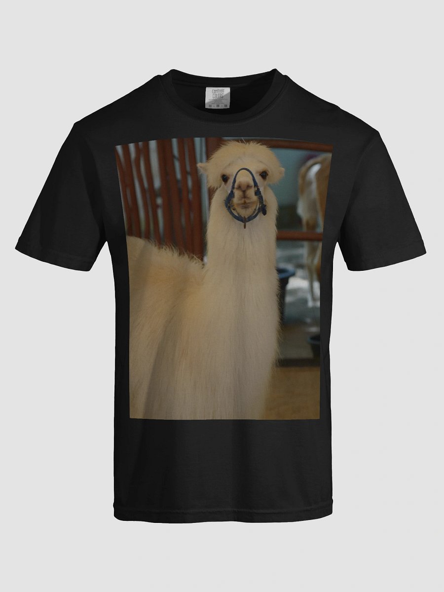 Zen Alpaca Comfort Tee product image (5)