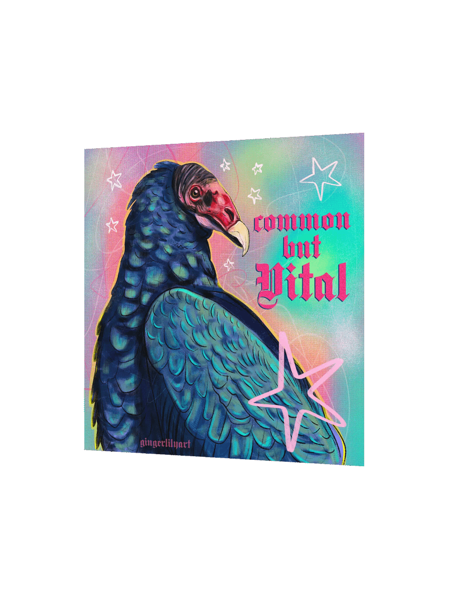 turkey vulture print product image (3)