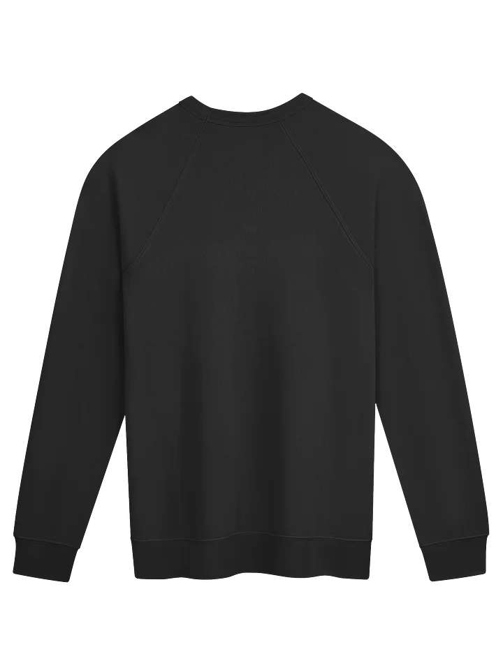 Ecamm Fam Raglan Sweatshirt product image (7)