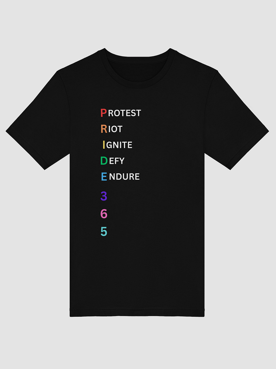 Pride 365 (protest, riot, ignite, endure) Tee product image (26)