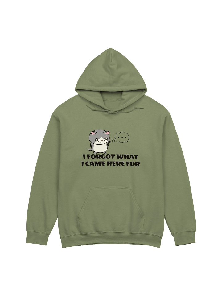 Short-term Memory Loss - Unisex Adult Hoodie product image (9)