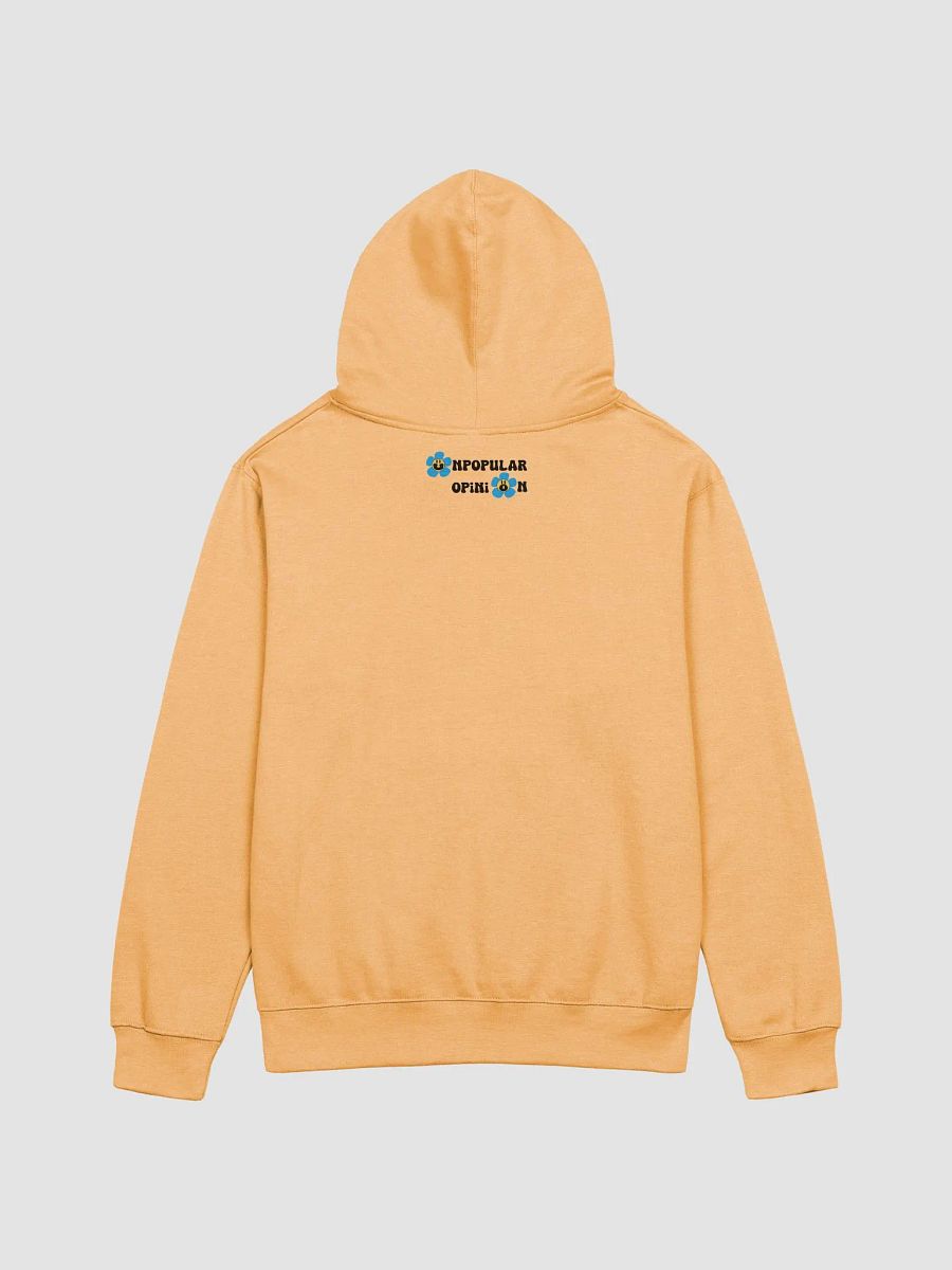 CHILDISH GAMBINO Bonfire Hoodie product image (10)