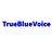 truebluevoice.store favicon