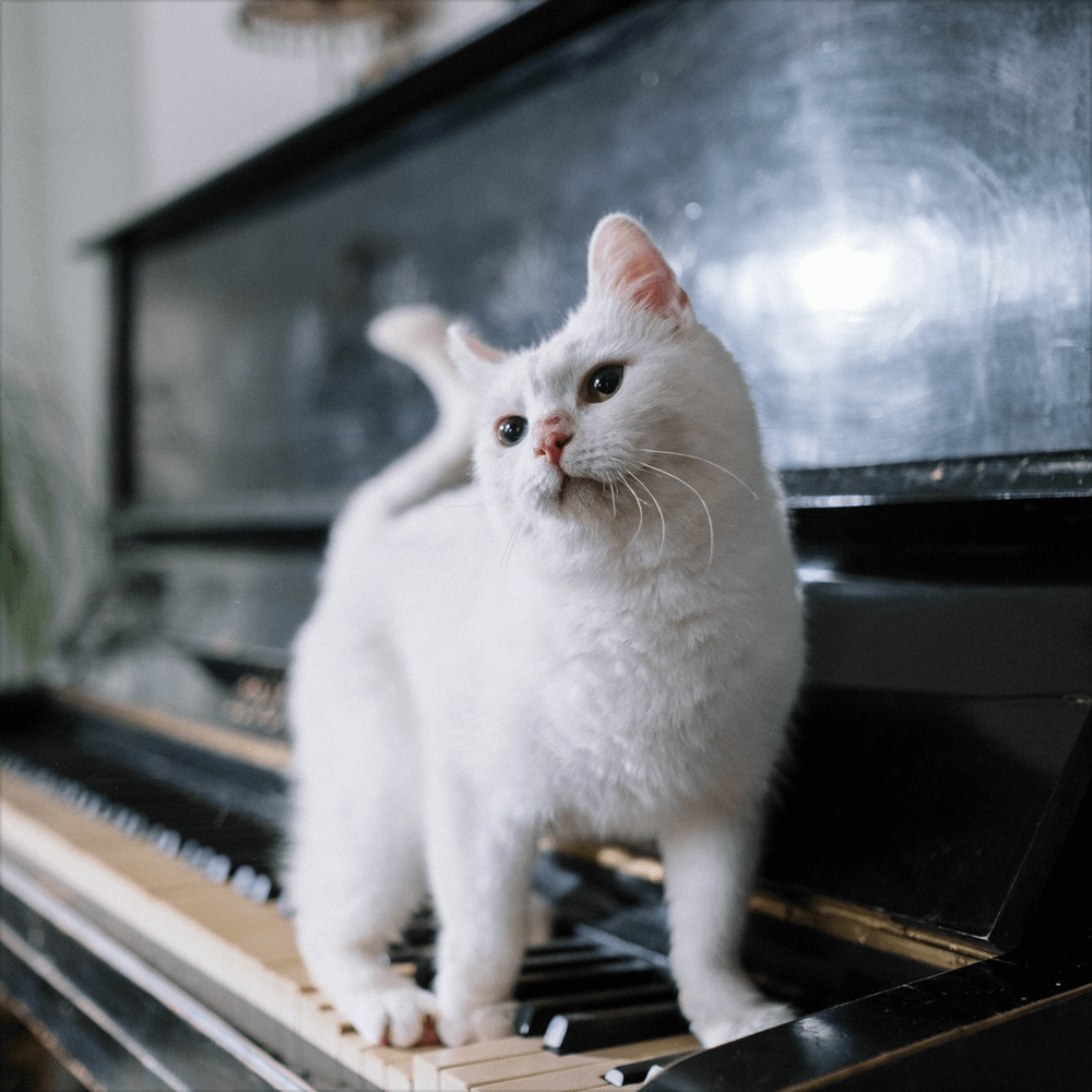 Minimalism No. 11, Dès l'aube (Partie 1) [Piano] product image (1)