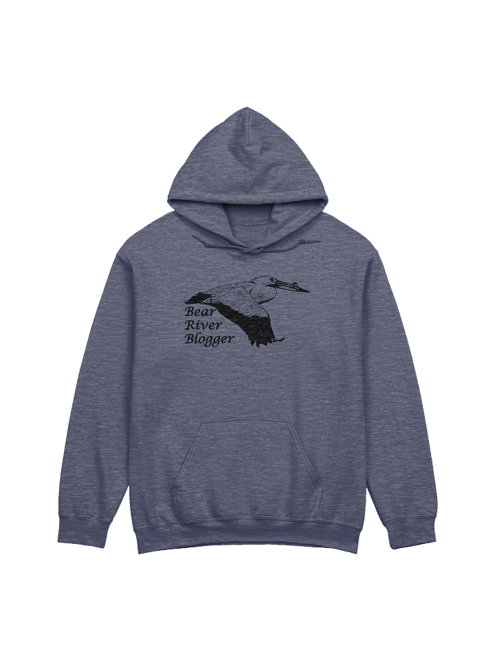 Bear River Blogger Shadowed Comfort Hoodie product image (11)