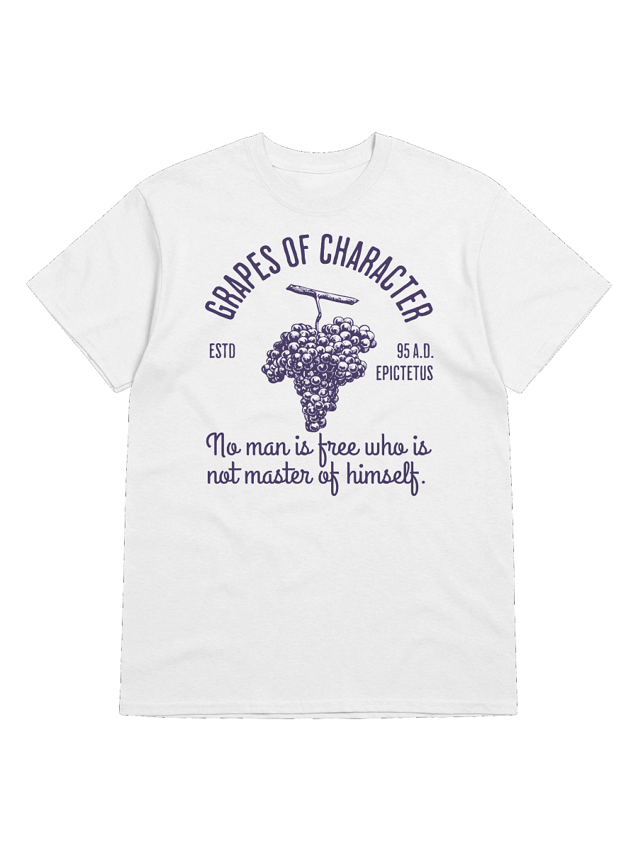 Stoic Grapes TSHIRT product image (4)